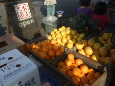 s-DSCF8850.jpg