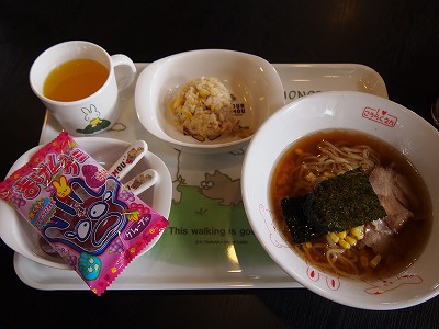 s-P4100056.jpg