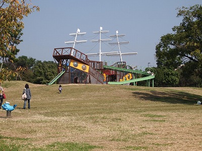 s-PA081749.jpg
