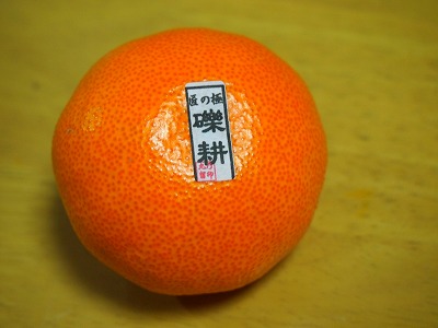 s-PC032443.jpg